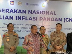 Gubsu Edy Siapkan 2,5 Juta Polybag Buat Petani, Untuk Apa?