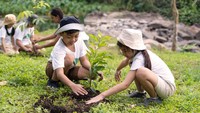 9 Daftar Sekolah Alam di Jabodetabek, Ini Kisaran Biayanya Bun