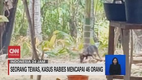 VIDEO: Seorang Tewas, Kasus Rabies Mencapai 46 Orang