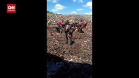 VIDEO: Penjelasan Bea Cuka Bengkalis Soal Warga Rebutan Daging di TPA