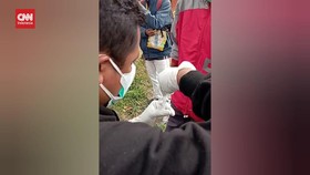VIDEO: Kasus Rabies di TTS Bertambah. Vaksin Sisa 104 Dosis
