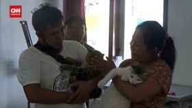 VIDEO: Anabulnya Dikebiri, Pasutri Banyuwangi Gelar Hajatan