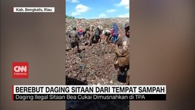 VIDEO: Berebut Daging Ilegal Sitaan Bea Cukai dari Tempat Sampah