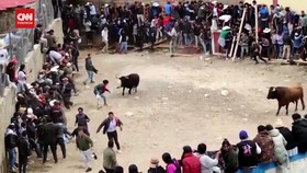 VIDEO: 11 Orang Terluka Pada  Hari Kedua Festival Banteng di Peru
