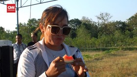 VIDEO: Berlibur Ke Agrowisata Kebun Semangka, Bisa Makan Gratis