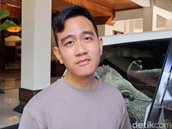 Kritik Panda Nababan, Gerindra-PSI Solo Siap Buka Pintu Lebar Buat Gibran