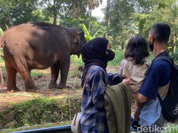 Ini Spot Foto Favorit Pengunjung di Kebun Binatang Bandung