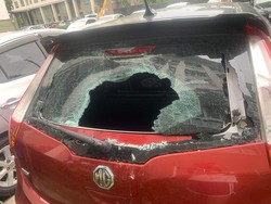 Bernyawa 9! Kaca Mobil Jebol Kejatuhan Kucing dari Lantai 6, Kucing Selamat
