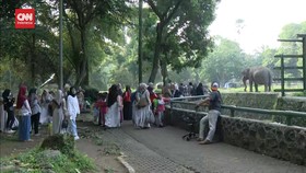 VIDEO: Harga Tiket Murah, Taman Margasatwa Ragunan Ramai Saat Liburan