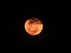Kapan Fenomena Full Moon Juni 2023? Catat Tanggalnya