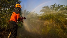 BMKG Deteksi 192 Titik Panas Indikator Karhutla di Kaltim