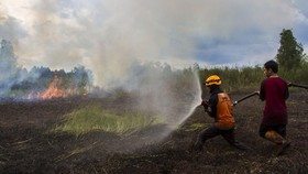 Kalimantan Jadi Wilayah dengan Karhutla Terbanyak RI, Ada 1.148 Titik