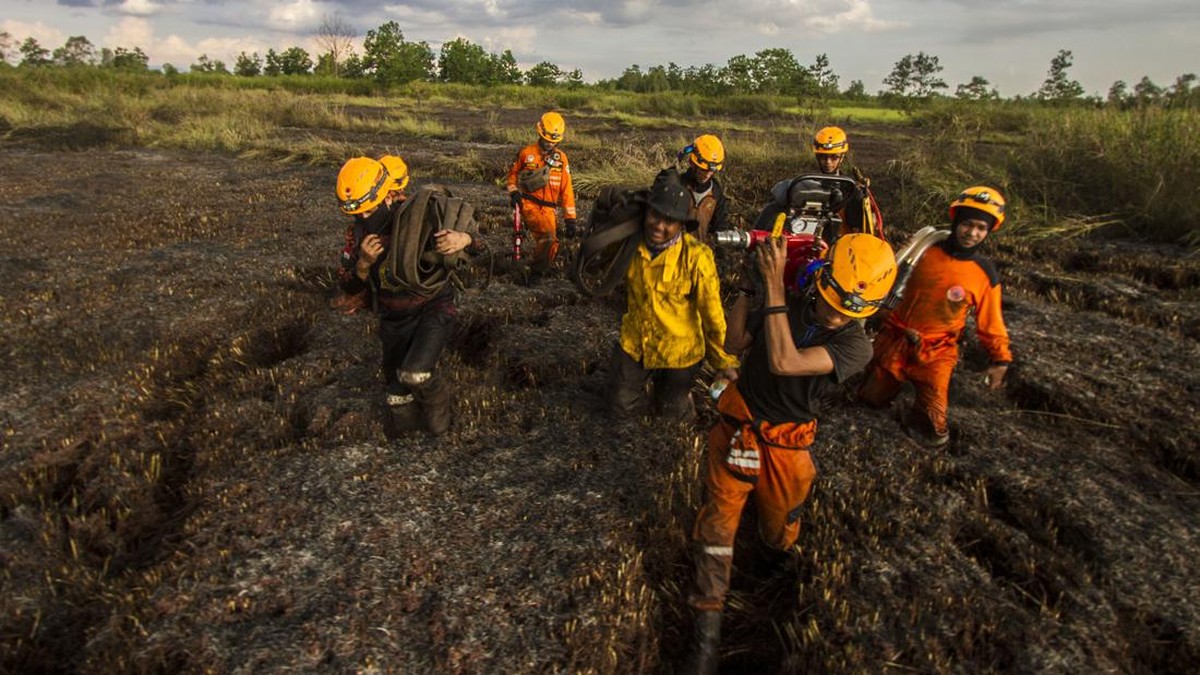 FOTO: Kebakaran Hutan di Kalsel Meluas, Mendekati Area Bandara