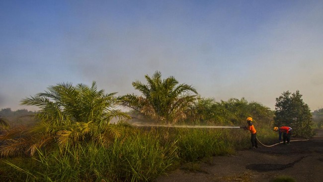 FOTO: Kebakaran Hutan di Kalsel Meluas, Mendekati Area Bandara