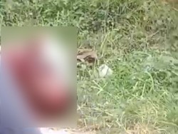 Pria Tergeletak Berlumur Darah di Bangkalan Ternyata 1 dari 7 Korban Carok