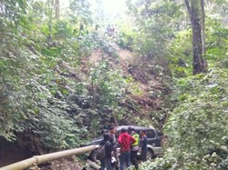 Sopir Ngantuk, Mitsubishi Kuda Terjun Jurang 15 Meter di Jalur Gumitir Jember