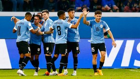 Jadwal Semifinal Piala Dunia U-20: Uruguay vs Israel, Italia vs Korea