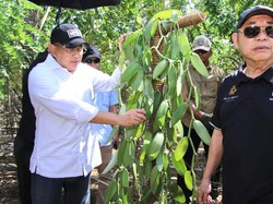 Bamsoet Dukung Pembangunan Kebun Pembibitan Vanili 300 Ha di Banten