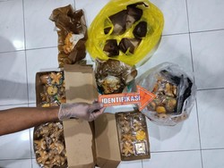 22 Warga Desa-10 Mahasiswa Keracunan Seusai Santap Nasi Bungkus