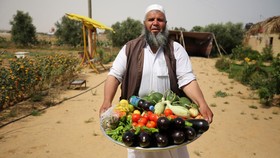 FOTO: Lasima di Jalur Gaza, Salad Semangka yang Rasanya Gurih