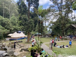 Serunya Wisata Bareng Keluarga di Pondok Halimun Sukabumi