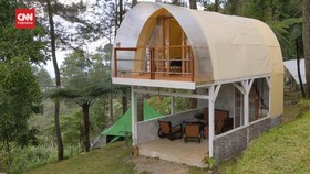VIDEO: Glamping Sambil Lihat Primata Liar di Hutan Gunung Ceremai
