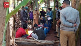 VIDEO: Terindikasi Rabies, Petugas Lumpuhkan Anjing Piaraan Warga