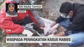 VIDEO: Waspada Peningkatan Kasus Rabies