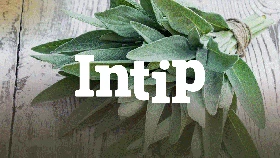 INTIP: 6 Daun untuk Atasi Gula Darah Tinggi, Tinggal Direbus