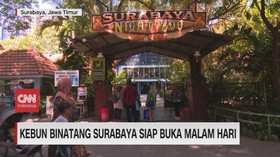 VIDOE: Kebun Binatang Surabaya Siap Buka Malam Hari
