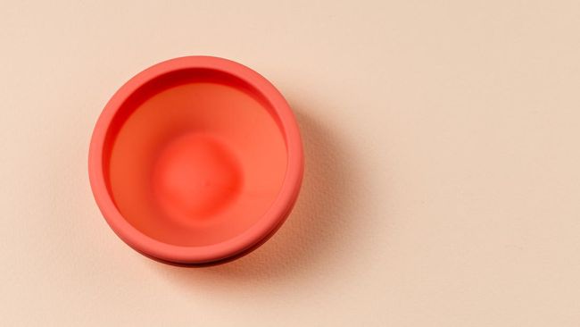 Baru-baru ini seorang pengguna media sosial membagikan pengalamannya bercinta saat haid menggunakan menstrual disc. Apa itu menstrual disc?