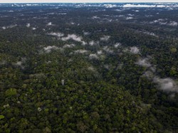 Misteri Kota yang Hilang di Amazon Akhirnya Terungkap