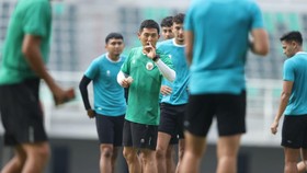 Prediksi Indonesia vs Palestina di FIFA Matchday