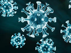 Digigit Tikus Saat Bekerja, Buruh Bangunan Positif Virus Hanta