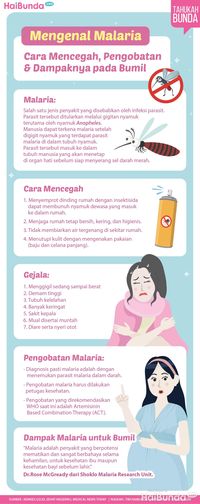 Mengenal Malaria: Cara Mencegah, Pengobatan & Dampaknya Pada Bumil