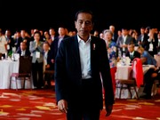 Jokowi Jualan IKN ke Pengusaha Australia