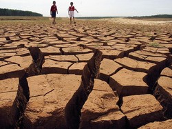 Mentan Wanti-wanti Ancaman El Nino-Minta Pemda buat Cadangan Pangan