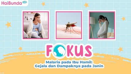 Detik Network