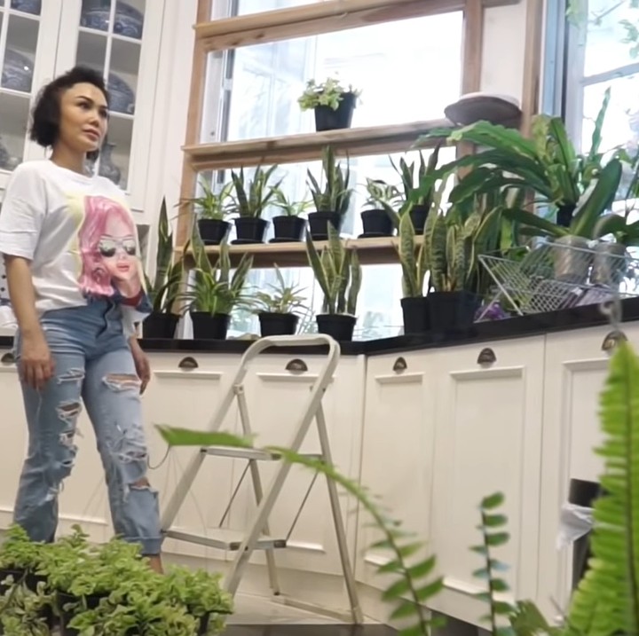 <p>Sejak mulai mengoleksi tanaman hias, Yuni Shara tak luput menjadikan dapur sebagai tempat menaruh koleksi favoritnya. (Foto: YouTube Yuni Shara Channel)</p>