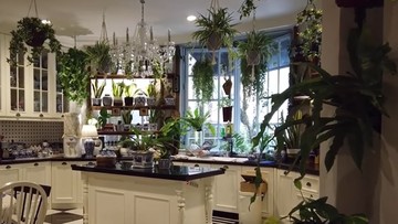 Berita Viral Selebriti dari InsertLive : 7 Potret Dapur Unik Yuni Shara Bergaya Vintage yang Penuh Tanaman bak Hutan