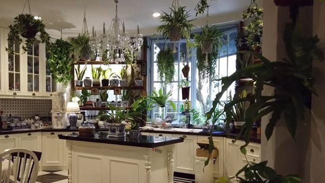 7 Potret Dapur Unik Yuni Shara Bergaya Vintage yang Penuh Tanaman bak Hutan