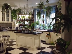 7 Potret Dapur Unik Yuni Shara Bergaya Vintage yang Penuh Tanaman bak Hutan