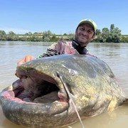 Ikan Lele Terbesar di Dunia Sepanjang 2,8 Meter Berhasil Ditangkap, Ini Potretnya!