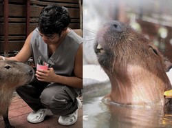 Masbro! Ada Kafe Khusus Capybara yang Imut dan Menggemaskan