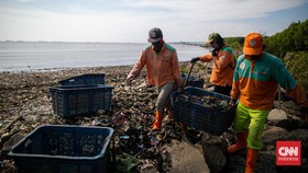 FOTO: Merayakan Hari Laut Sedunia di Muara Sampah Jakarta