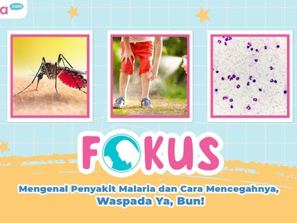Mengenal Penyakit Malaria dan Cara Mencegahnya, Waspada Ya, Bun!