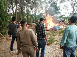 Arena Judi Sabung Ayam di Desa Grinting Brebes Dibakar Aparat-Warga