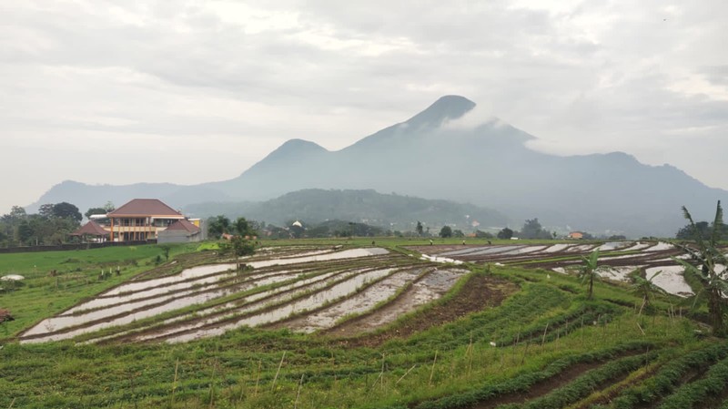 Segala macam jenis perkebunan terhampar di Desa Trawas di Mojokerto, Jawa Timur.