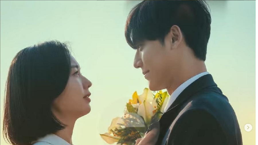 Drama Korea The Good Bad Mother