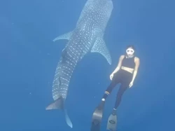 Gisel Cerita Ngeri-ngeri Sedap Diving Bareng Hiu Paus